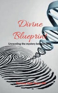bokomslag Divine Blueprint