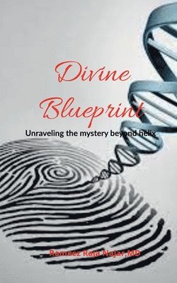 bokomslag Divine Blueprint