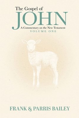 Gospel of John A Commentary on the New Testament Volume 1