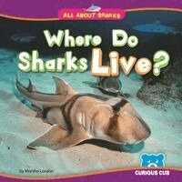 Martha London - Where Do Sharks Live?, Häftad
