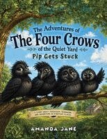 Amanda Jane - Adventures of The Four Crows of the Quiet Yard, Häftad