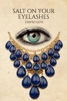 David Levi - Salt on Your Eyelashes, Häftad