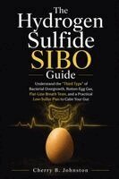 Cherry B Johnston - Hydrogen Sulfide SIBO Guide, Häftad
