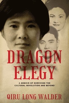 bokomslag Dragon Elegy