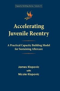 bokomslag Accelerating Juvenile Reentry: A Practical Capacity Building Model  for Sustaining Aftercare