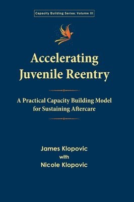 bokomslag Accelerating Juvenile Reentry
