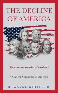 bokomslag Decline of America