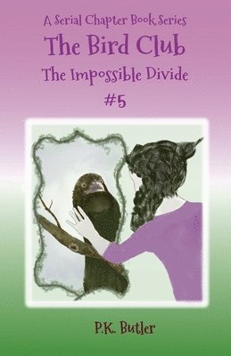 Impossible Divide #5 1