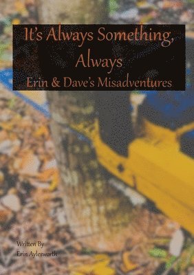 It's Always Something, Always Erin & Dave's Misadventures 1