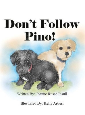 Don't Follow Pino! 1