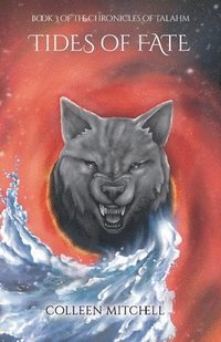 bokomslag Tides of Fate