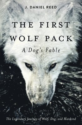 The First Wolf Pack 1