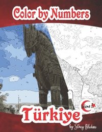 bokomslag Color by Number Türkiye Volume I
