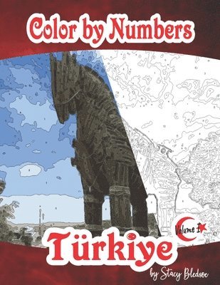 bokomslag Color by Number Türkiye Volume I