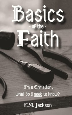 bokomslag Basics of the Faith