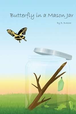 Butterfly in a Mason Jar 1