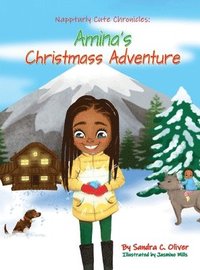 bokomslag Amina's Christmas Adventure