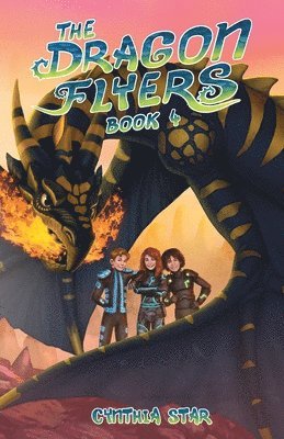 bokomslag The Dragon Flyers Book Four