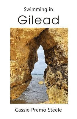 Cassie Premo Steele - Swimming in Gilead, Häftad