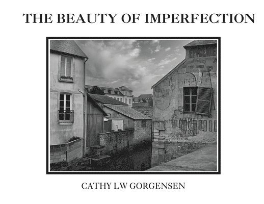 The Beauty of Imperfection 1