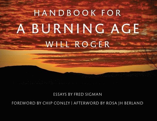 Handbook For A Burning Age 1