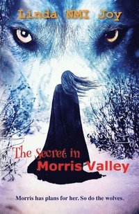 bokomslag The Secret in Morris Valley
