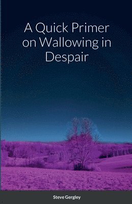 Steve Gergley - Quick Primer on Wallowing in Despair, Häftad