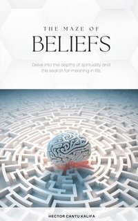 bokomslag The Maze of Beliefs