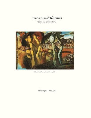 Henning K Sehmsdorf - Pentimento of Narcissus, Häftad