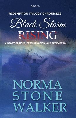 bokomslag Black Storm Rising