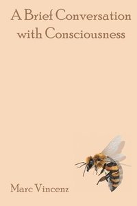 bokomslag Brief Conversation with Consciousness