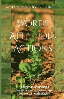 bokomslag Words Attitudes Actions