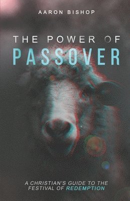 bokomslag Power of Passover