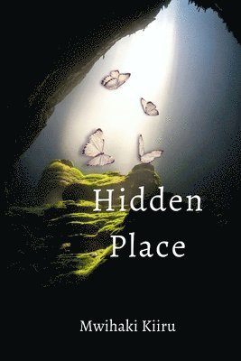 bokomslag Hidden Place