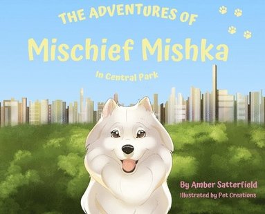 bokomslag The Adventured of Mischief Mishka in Central Park