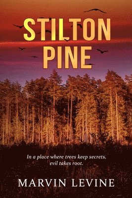 Stilton Pine 1