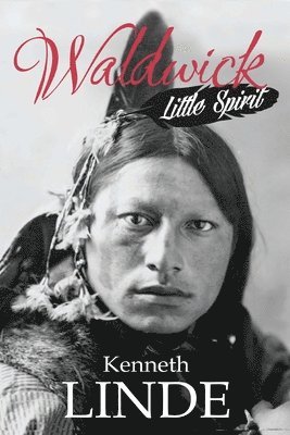 bokomslag Little Spirit