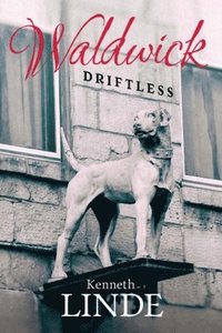 bokomslag Driftless