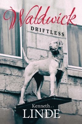 bokomslag Driftless