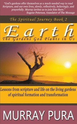 bokomslag Earth