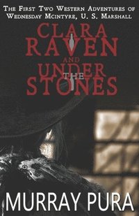 bokomslag Clara Raven / Under the Stones