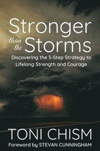 bokomslag Stronger than the Storms