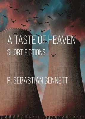 bokomslag A Taste of Heaven