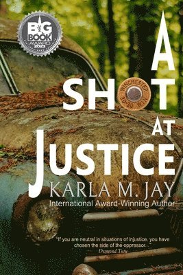 bokomslag Shot at Justice