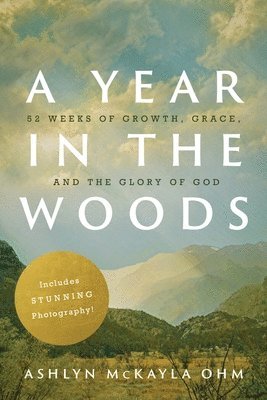 Year in the Woods