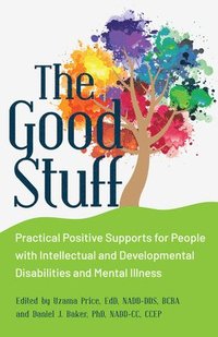 bokomslag The Good Stuff: Practical Positive Supports for People with Intellectual and Developmental Disabilities and Mental Illness
