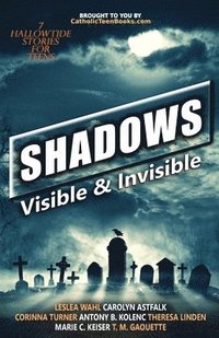 bokomslag Shadows: Visible & Invisible