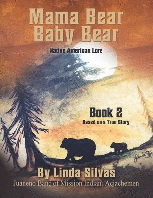 bokomslag Mama Bear Baby Bear 2: Native American Lore