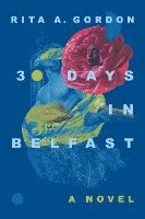 bokomslag 30 Days In Belfast