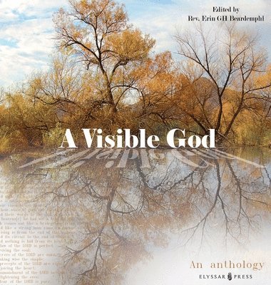 Erin Beardempl, Stephanie Aoun Abou Karam - Visible God, Inbunden